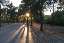 Emplacements camping Emplacement Standard